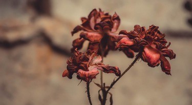 Чи варто ризикувати здоров’ям заради засмаги: 8 фактів про солярій