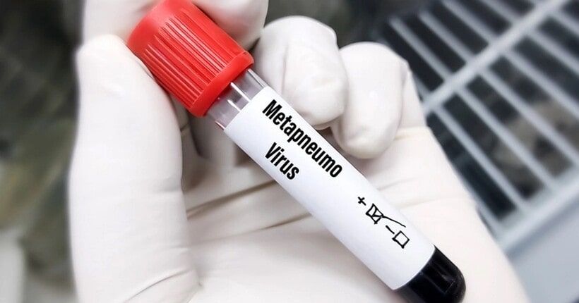 Метапневмовірус: інформація про хворобу
